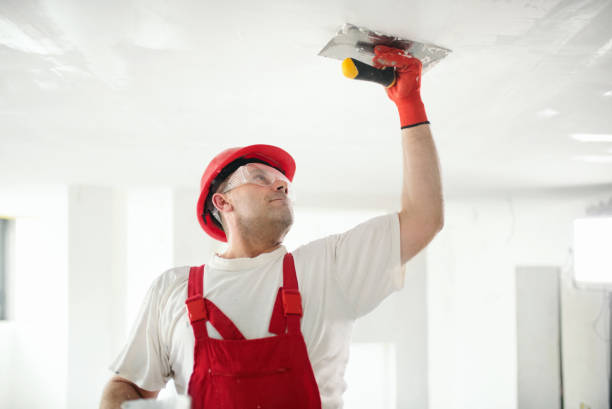 Mclendon Chisholm, TX Mold Removal Company